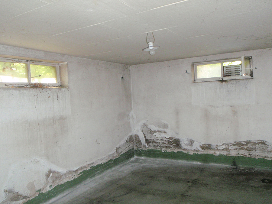 Kellersanierung |mehr als nur sanieren!